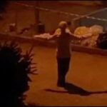 serbian dancing lady