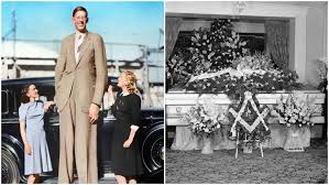 robert wadlow