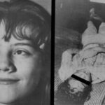 sylvia likens