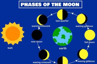 moon phase
