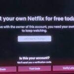 Netflix account sharing