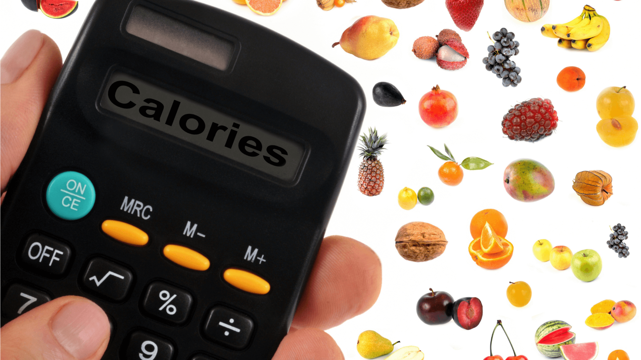 calorie calculator