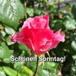 schönen sonntag bilder