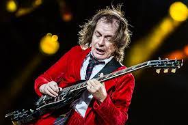 angus young vermögen