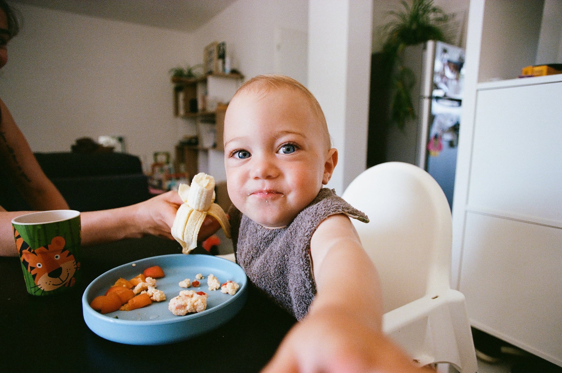 Baby-Led Weaning