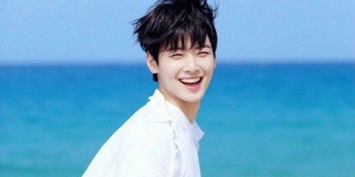 Cha Eun Woo