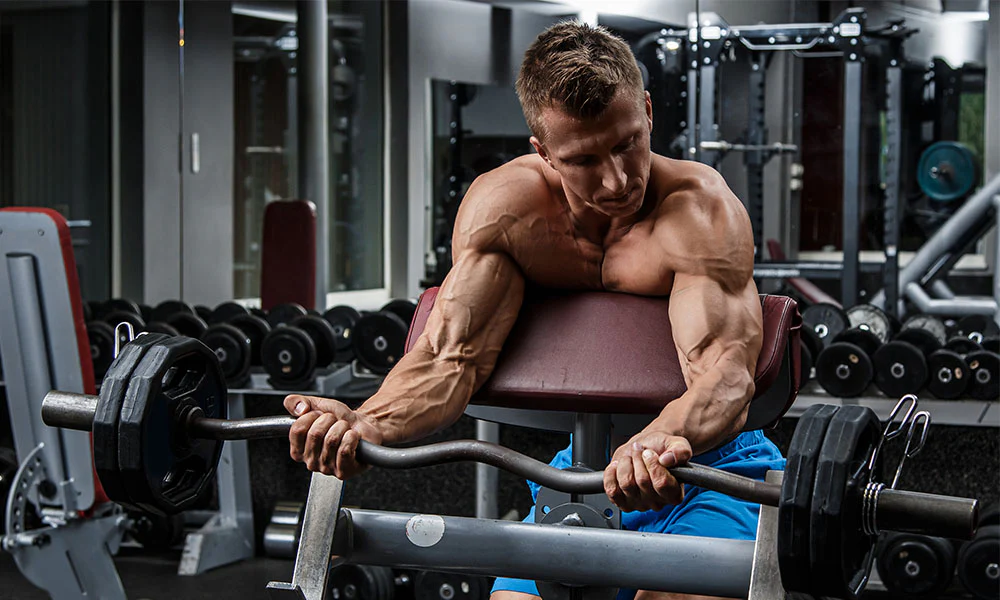 preacher curl