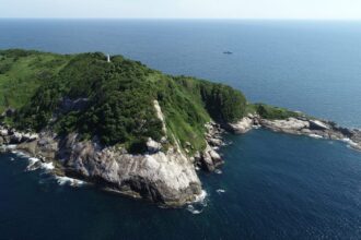 snake island