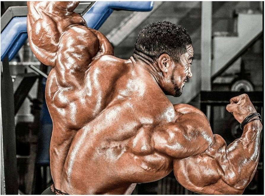 roelly winklaar