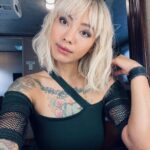 levy tran
