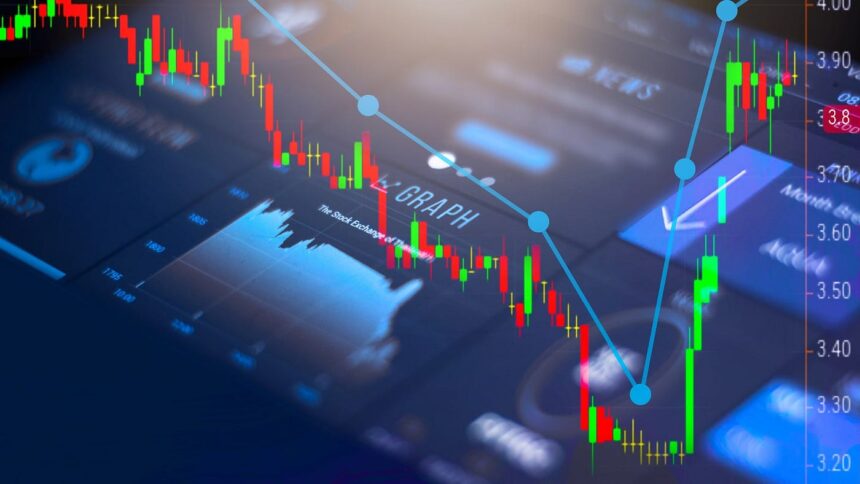 Macro Venture Group com