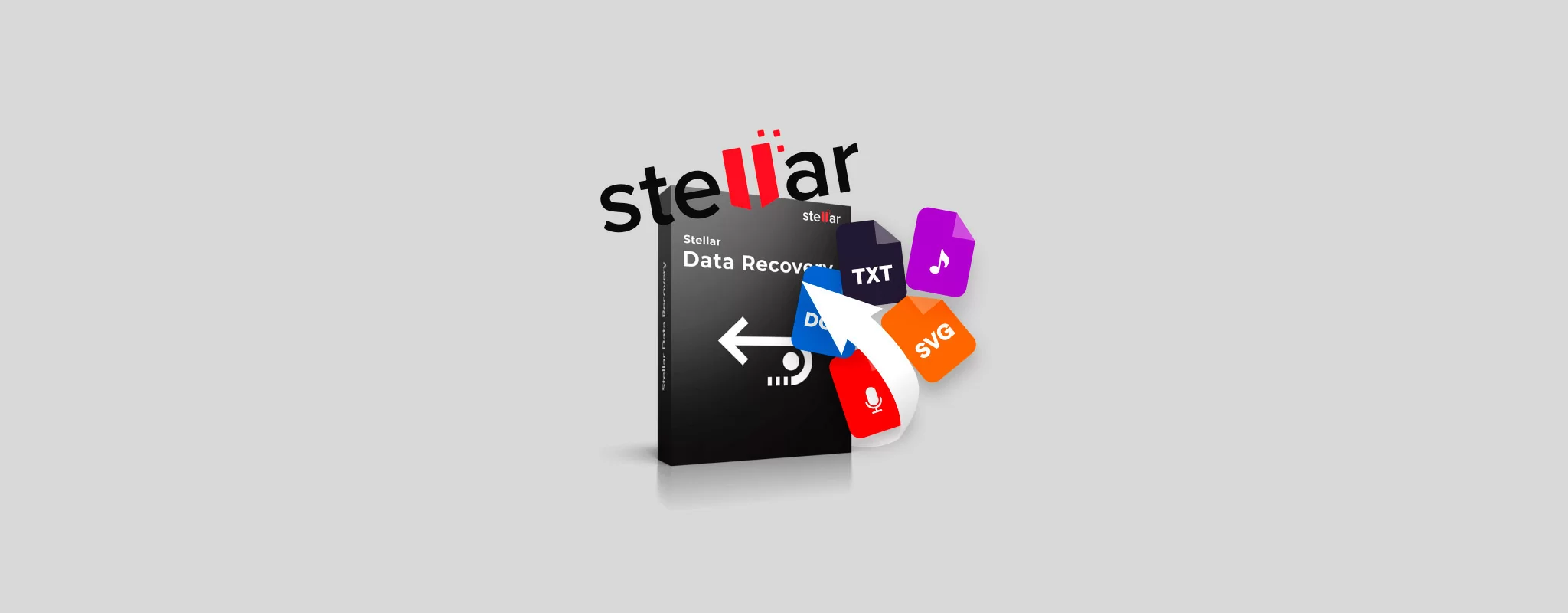 Stellar Data Recovery