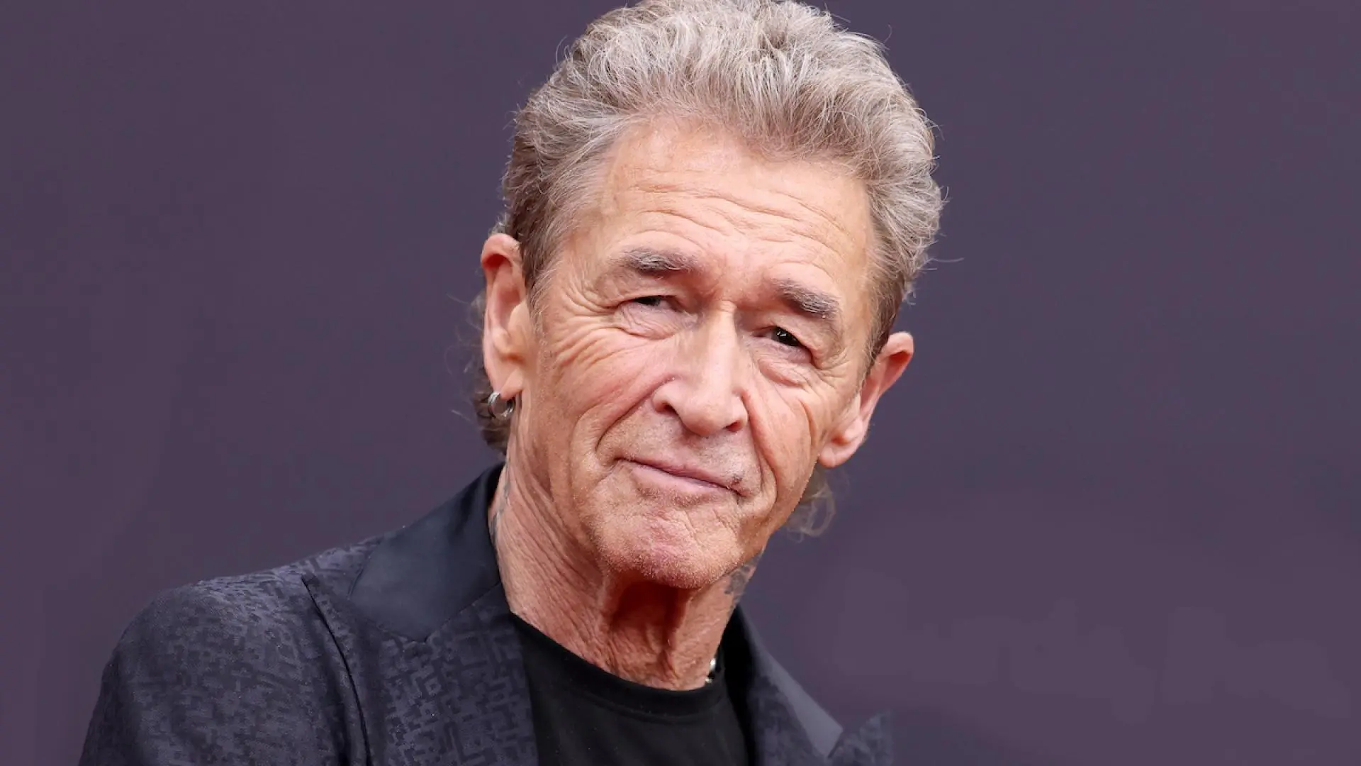 peter maffay vermögen