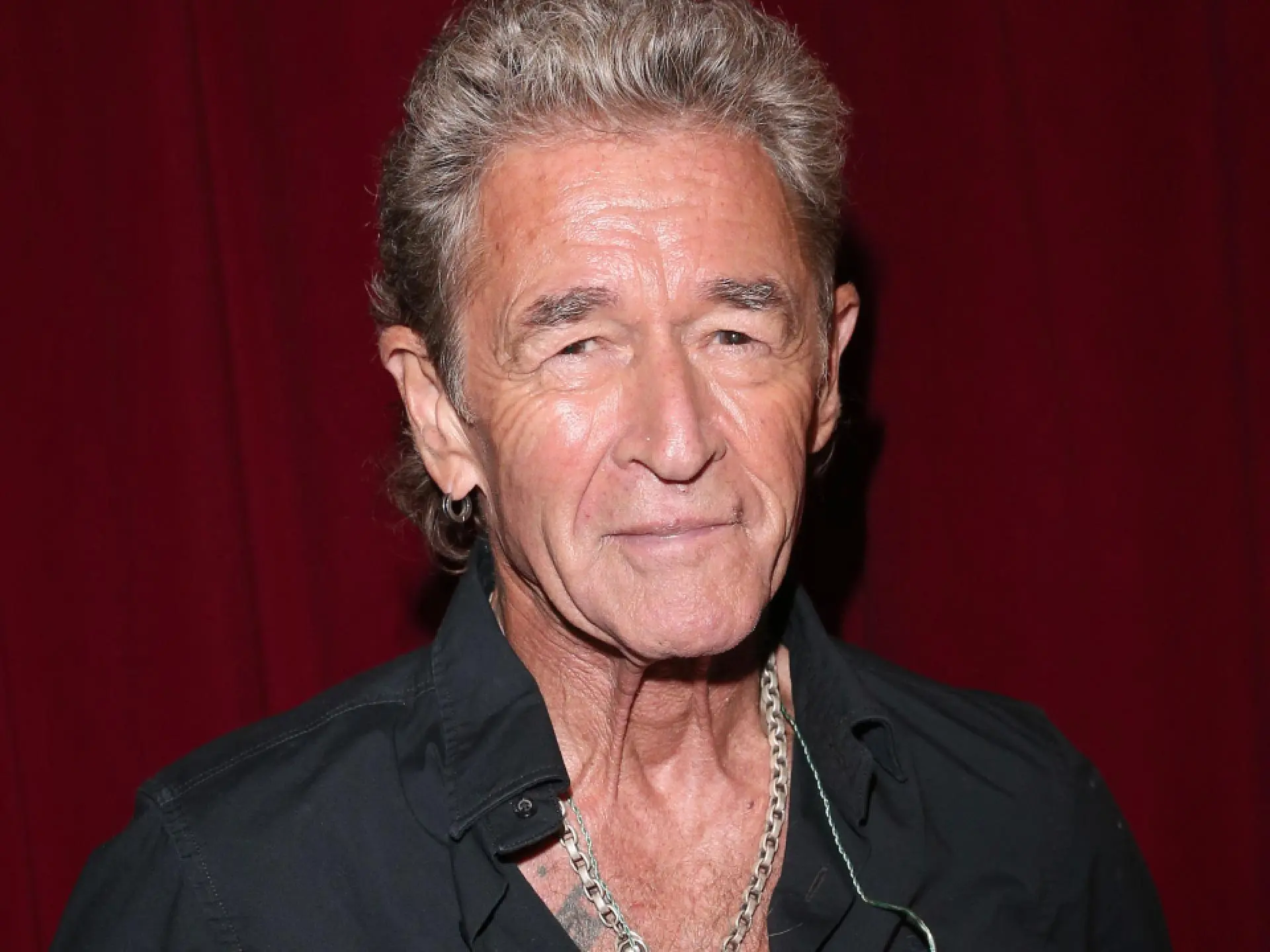 vermögen peter maffay