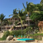 bachelor in paradise