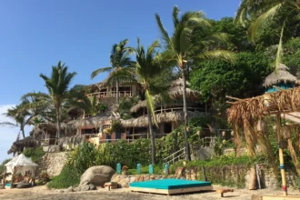 bachelor in paradise