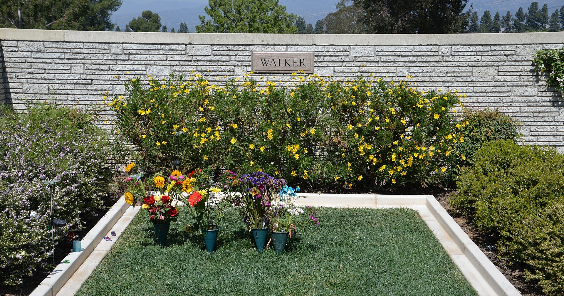 Rebecca McBrain Vermögen