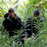 fabian güstrow todesursache