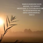 trauerspruch erlösung nach krankheit