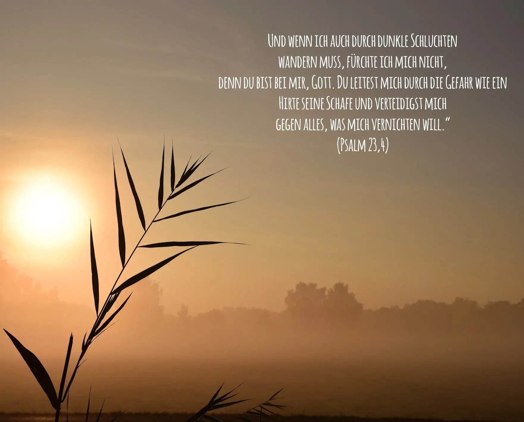 trauerspruch erlösung nach krankheit