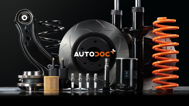 Autodoc