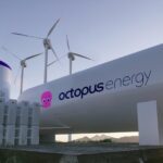 octopus energy pleite