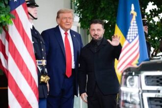 trump selenski