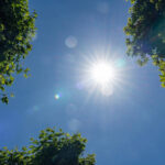 vigilance forte canicule